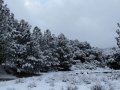 Rare snowfall at Silent Valley Club - Winter 2018