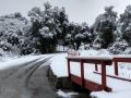 Rare snowfall at Silent Valley Club - Winter 2018