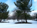 Rare snowfall at Silent Valley Club - Winter 2018