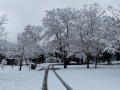 Rare snowfall at Silent Valley Club - Winter 2018