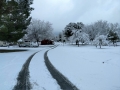 Rare snowfall at Silent Valley Club - Winter 2018