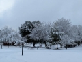 Rare snowfall at Silent Valley Club - Winter 2018