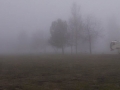 Silent Valley - Enter the Cloud Forest - Fog During Winter Storm