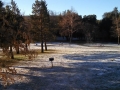 Silent Valley - Dusting of Snow After a Winter Storm