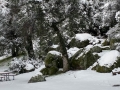 Silent Valley - Winter Wonderland After a Rare Heavy Snowfall