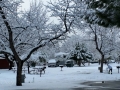 Silent Valley - Winter Wonderland After a Rare Heavy Snowfall