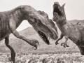 Sky Art Sculptures - Battle of the Allosaurus and Carnotaurus Dinosaurs