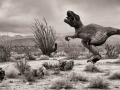 Sky Art Sculptures - Tyrannosaurus rex and Utahraptors