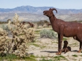 Galleta Meadows - Sky Art Sculptures - Bighorn Sheep