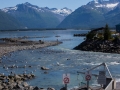 Valdez - Solomon Gulch Hatchery - Vista