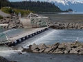 Valdez - Solomon Gulch Hatchery - Weir