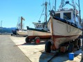 Port Orford - Fishing boats in dry dock