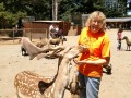 West Coast Game Park Safari - Kim feeding deer