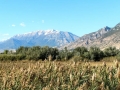 Springville / Provo KOA Journey - Mountain Views