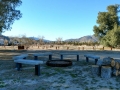 Stagecoach Trails RV Resort - Group Camp Firepit