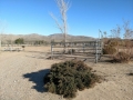 Stagecoach Trails RV Resort - Horse Sites