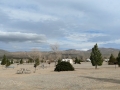 Stagecoach Trails RV Resort - Sites