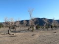 Stagecoach Trails RV Resort - Sites