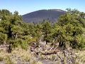 Sunset-Crater-Cinder-Cones