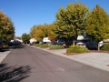 Susanville RV Park Sites