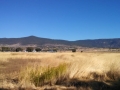 Susanville RV Park - View of meadow & hills behind the park