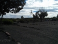 Thousand-Lakes-RV-Park-5