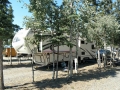 Tok RV Village - Sites