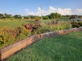 Topeka KOA - Flowers