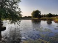 Topeka KOA - Pond