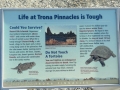 Trona Pinnacles - Visitor Info