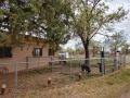 Tucumcari KOA - Pet Run