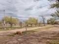 Tucumcari KOA  - Sites