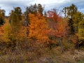 Lutsen-Mtn-Fall-Color-1