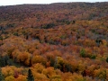 Lutsen-Mtn-Fall-Color-3