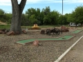 Verde River RV Resort - Mini Golf