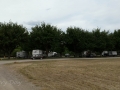 Verde River RV Resort - Sites