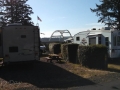 Campsites at Waldport / Newport KOA