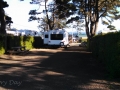 Campsites at Waldport / Newport KOA