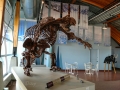 Beringia Interpretive Center - Giant Sloth