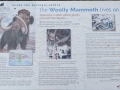 Beringia Interpretive Center - Woolly Mammoth Info