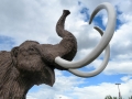 Beringia Interpretive Center - Woolly Mammoth