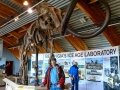 Beringia Interpretive Center - Woolly Mammoth & Jerry