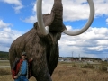 Beringia Interpretive Center - Woolly Mammoth & Jerry