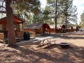 Williams KOA - Rental Cabins