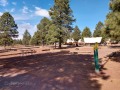 Williams KOA - Tent Sites