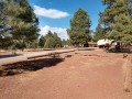 Williams KOA - Tent Sites