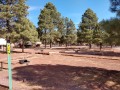 Williams KOA - Tent Sites