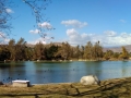 Pond at Rancho Jurupa Regional Park