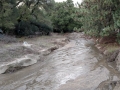 Heavy rains left creek through Silent Valley Club choked with sand and mud.