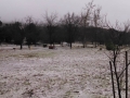 Dusting of snow & sleet at Silent Valley Club